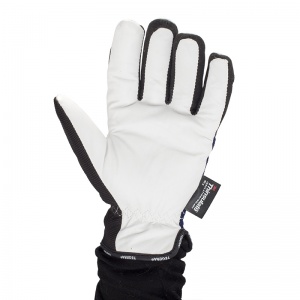 Ejendals Tegera 295 Waterproof Thermal Work Gloves